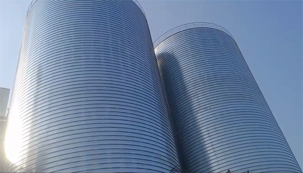 卓资2座混凝土高架卷板仓